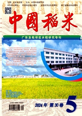中国稻米封面